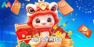 Đại lý Mig8