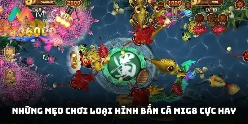 Chỉ dẫn một số thủ thuật săn bắt đỉnh cao new bie cần trau dồi