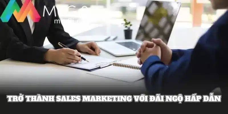Trở thành Sales Marketing với chế độ đãi ngộ hấp dẫn